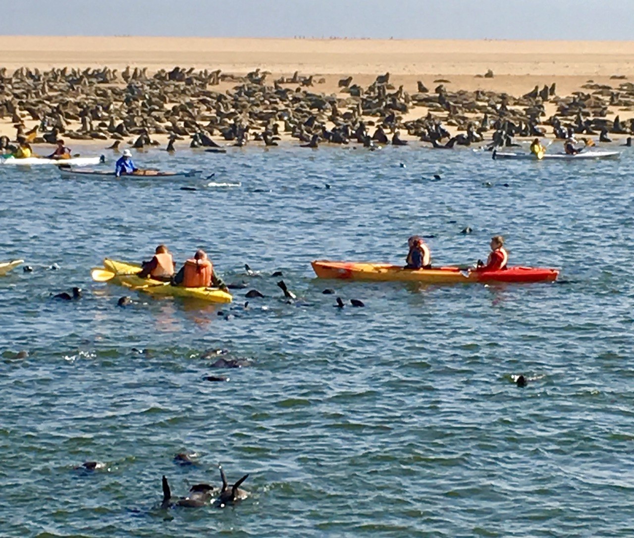 Kayaking on the ocean