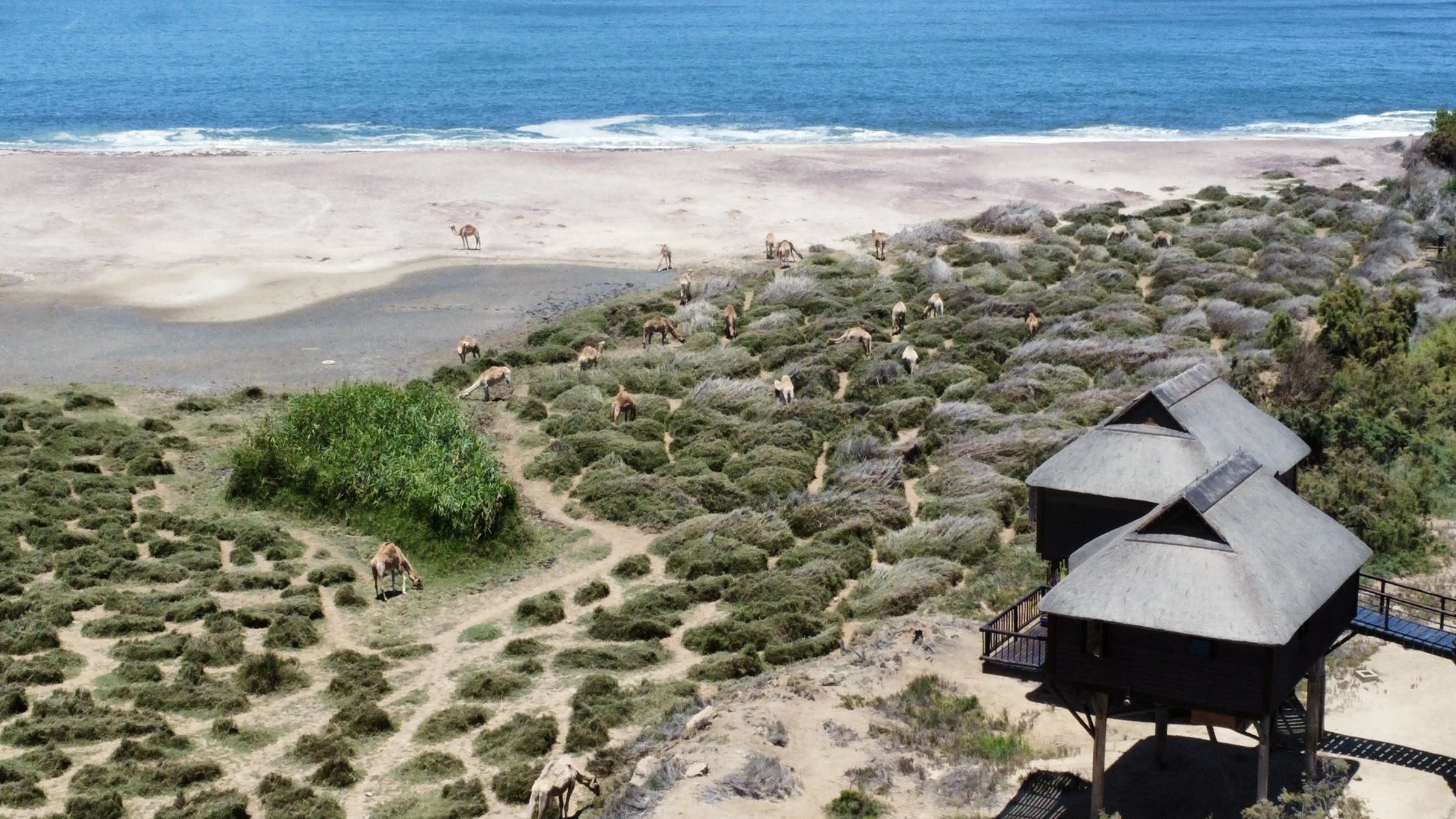 Aerial view of The Stiltz bungalows beside the beach and lagoon