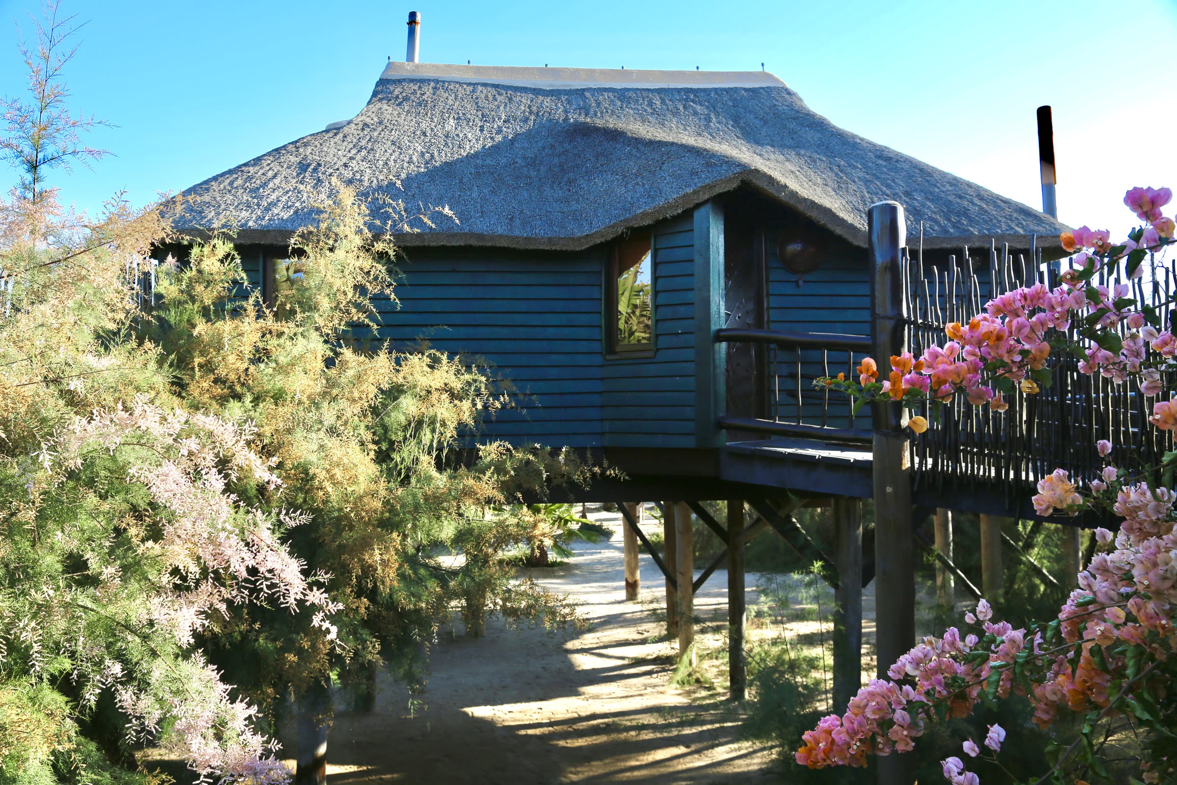 Bungalow exterior surrounded by garden flowers