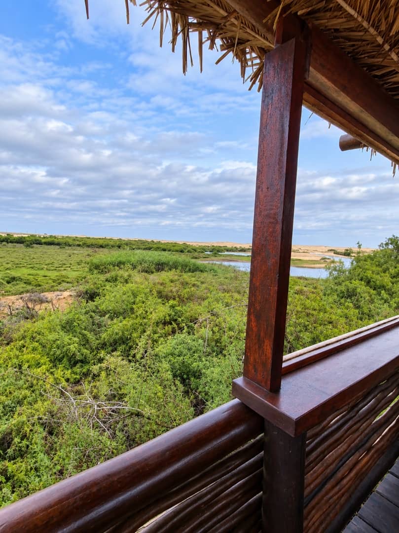 Lagoon vegetation and coastline viewed from a Villa balcony